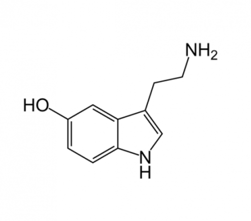 7ο ΚΕΦΑΛΑΙΟ
